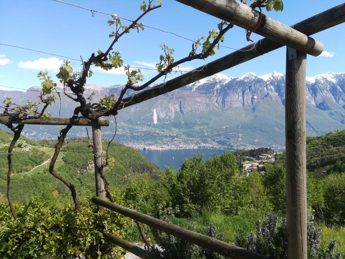 Agriturismo La Zangola Tremosine Exteriér fotografie