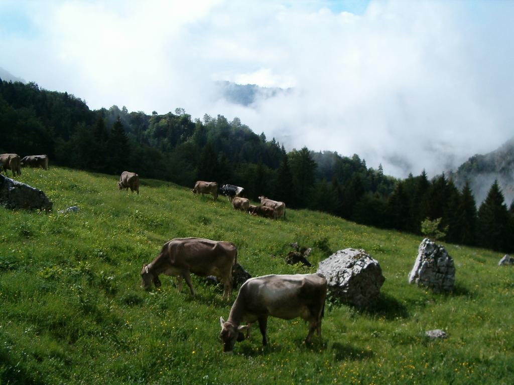 Agriturismo La Zangola Tremosine Exteriér fotografie